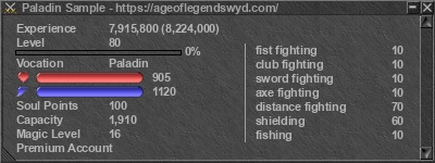 Signature for player Paladin Sample